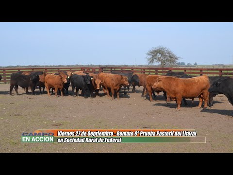 Se viene el Remate de la 8º Prueba Pastoril del Litoral viernes 27 de Septiembre -  Julian Pessolani