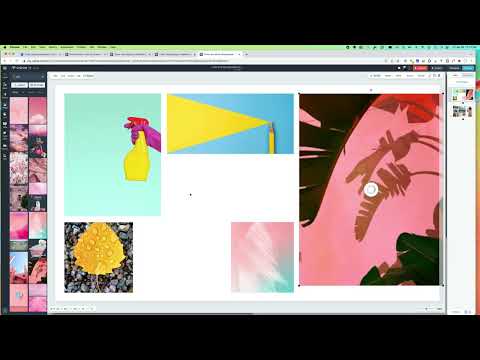 Use Visme and Canva Color Palette Generator to Create a Mood Board