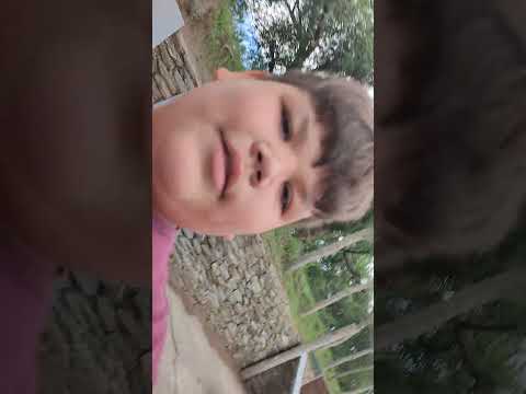 A Paso grande fui con mi familia