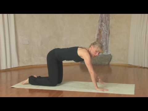 Yoga, Chaturanga Dandasana