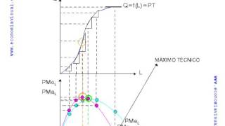Miniatura de Producto total, medio y marginal