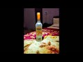 Sharab Status Daru Status Video Beer Status Video Abstudioofficial
