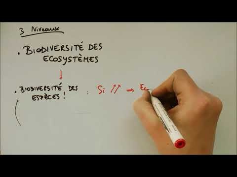 Scales of biodiversity