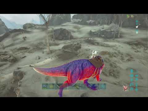 Ark Official - solo purple drop, no spike walls