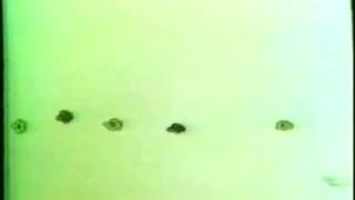 The Letter People TV 55 OU and OW