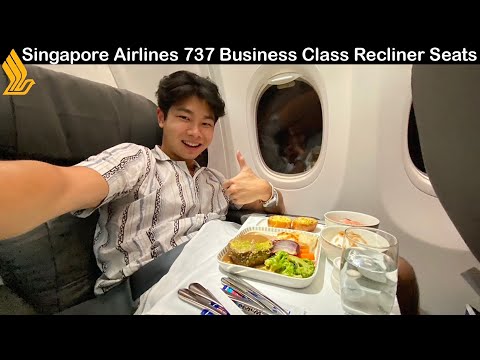 Miniatura YouTube dla Singapore Airlines Boeing 737-800 Passenger
