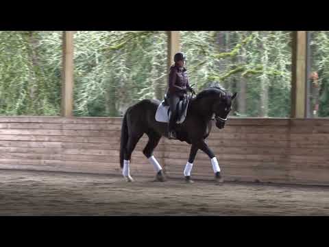 Bella - RPSI Mare by Radikal (Rotspon)