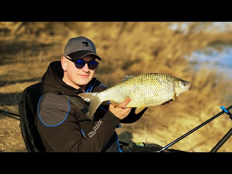 RIJEKA SAVA- dan za velike plotice, feeder ribolov🔵