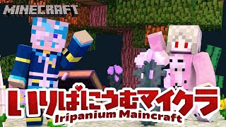 【 マイクラ 】#いりぱにうむ 鯖♡ 夫婦であるものを建築するよ~~~！！！！【  狼森うに / 狼森ぱすた / 夫婦Vtuber  】