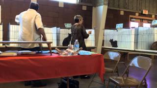 preview picture of video 'Cat-in-the-Hat Cat Show, Gonzales, Louisiana - March 28, 2015'