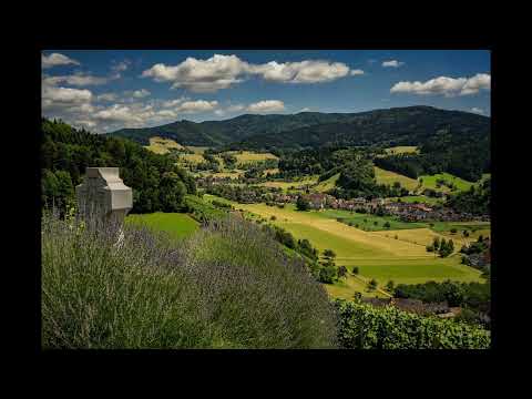Soundtrack: Hans Hammerschmid: "Titelmusik ‘Die Schwarzwaldklinik’" a. d. gleichn. Serie (1985)