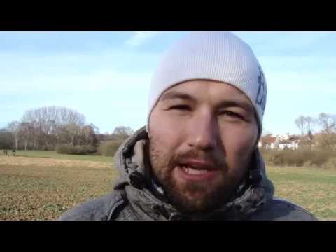 Sabbatjahr / Schmittah - Börsencrash 2015?