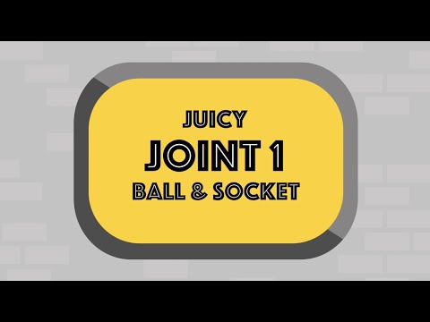 Juicy Joint Ball and Socket Activity Walkthrough