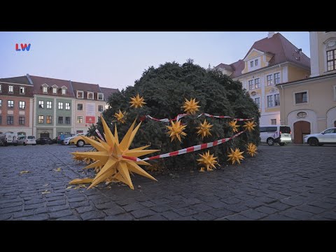 Löbau: Weihnachtsbaum abgesägt - LAUSITZWELLE