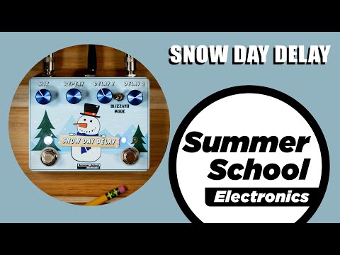 Summer School Electronics Snow Day Delay image 3