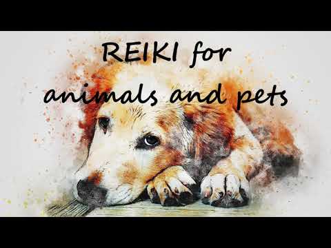 Reiki for Animals | Distance Reiki Healing