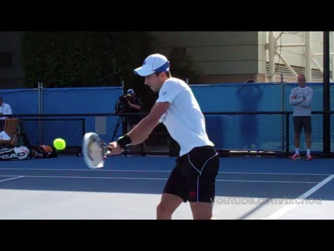 Novak Djokovic - Slow Motion Backhands (Left Side) in HD