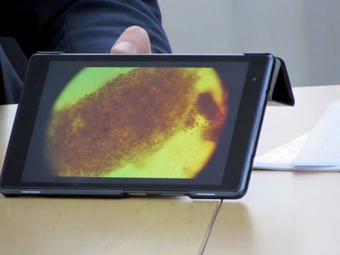 Совещание по поводу замора около 2 миллионов рыб в акватории Херсонского морпорта