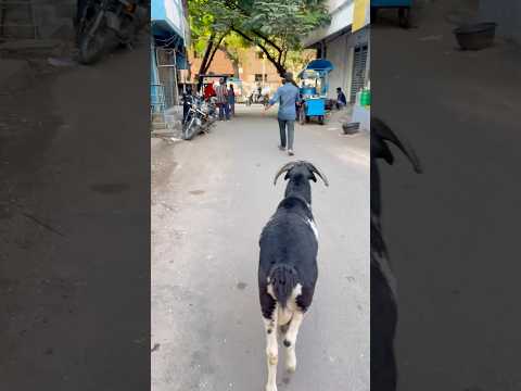 AW ❤️‍🔥 #bgm #music #anirudh #remix #badbio #entertainment