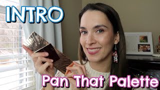 Pan That Palette 2026 Intro || Charlotte Tilbury Instant Eye Palette Pillow Talk