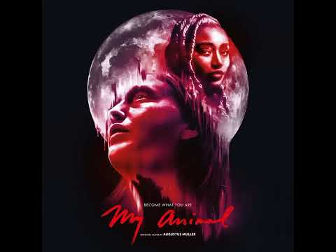 Augustus Muller - Sanctuary