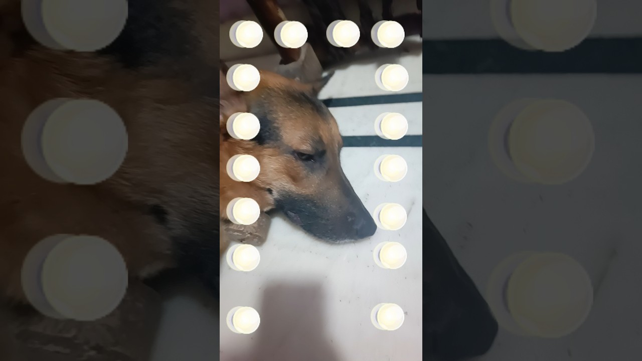 wait for and please follow me *shorts video #trending #vrail @OfficialrakhiKumari-q7w