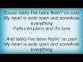 Josh Rouse - Feeling No Pain Lyrics