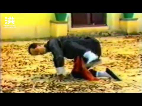 "Drunken Eight Immortals" (Jeui Baat Sin): Set & Applications | Practical Hung Kyun