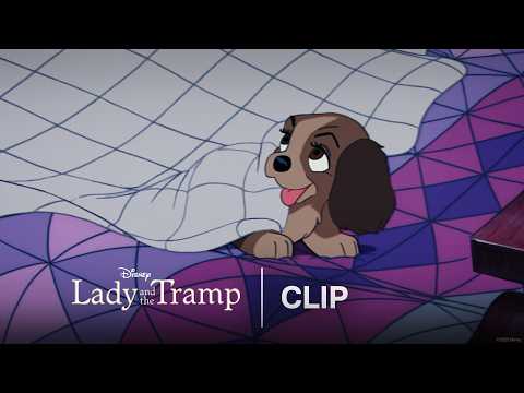Christmas Day Surprise | Lady and The Tramp | Official Clip