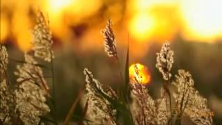 Angel Dust - Follow Me