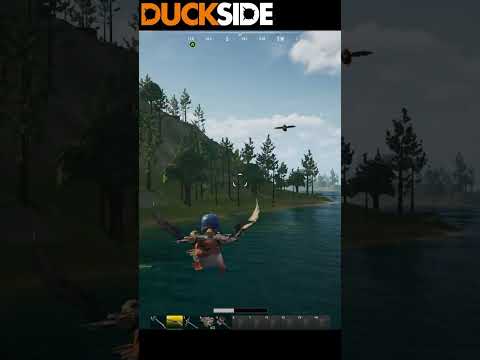 THESE ECO RAIDERS FUMBLED THE BAG #duckside #playduck