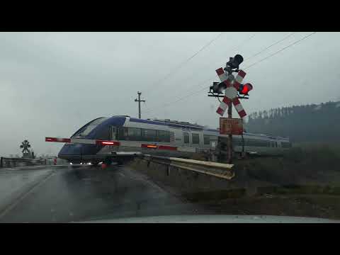 Tren sageata albastra Brasov