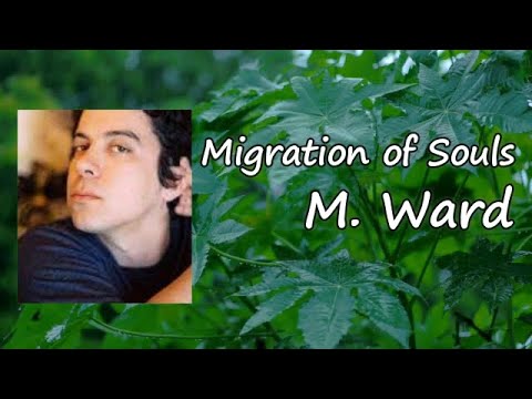 M. Ward - "Migration Of Souls" Lyrics