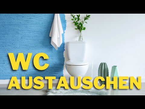 Altes Stand WC austauschen (Timelapse)