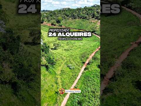 EXCELENTE PROPRIEDADE 24 ALQUEIRES REGIÃO DE TEÓFILO OTONI-MG R$ 1.350.000,00 #gado #fazenda #agro