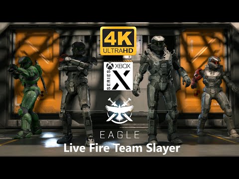 Halo Infinite Perfection ODST Bots Team Slayer on Live Fire