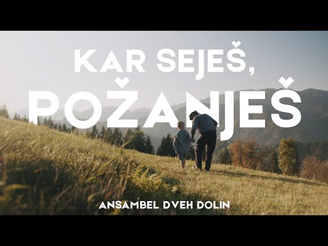 Ansambel Dveh Dolin - Kar Seješ, Požanješ