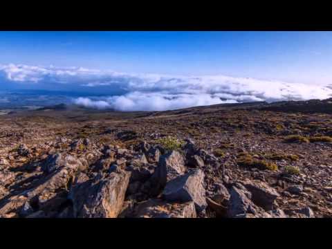 The Blizzard & Daniel van Sand feat. Jaren - Teach Yourself To Fly (Original Mix) (Cut From EDU Set)