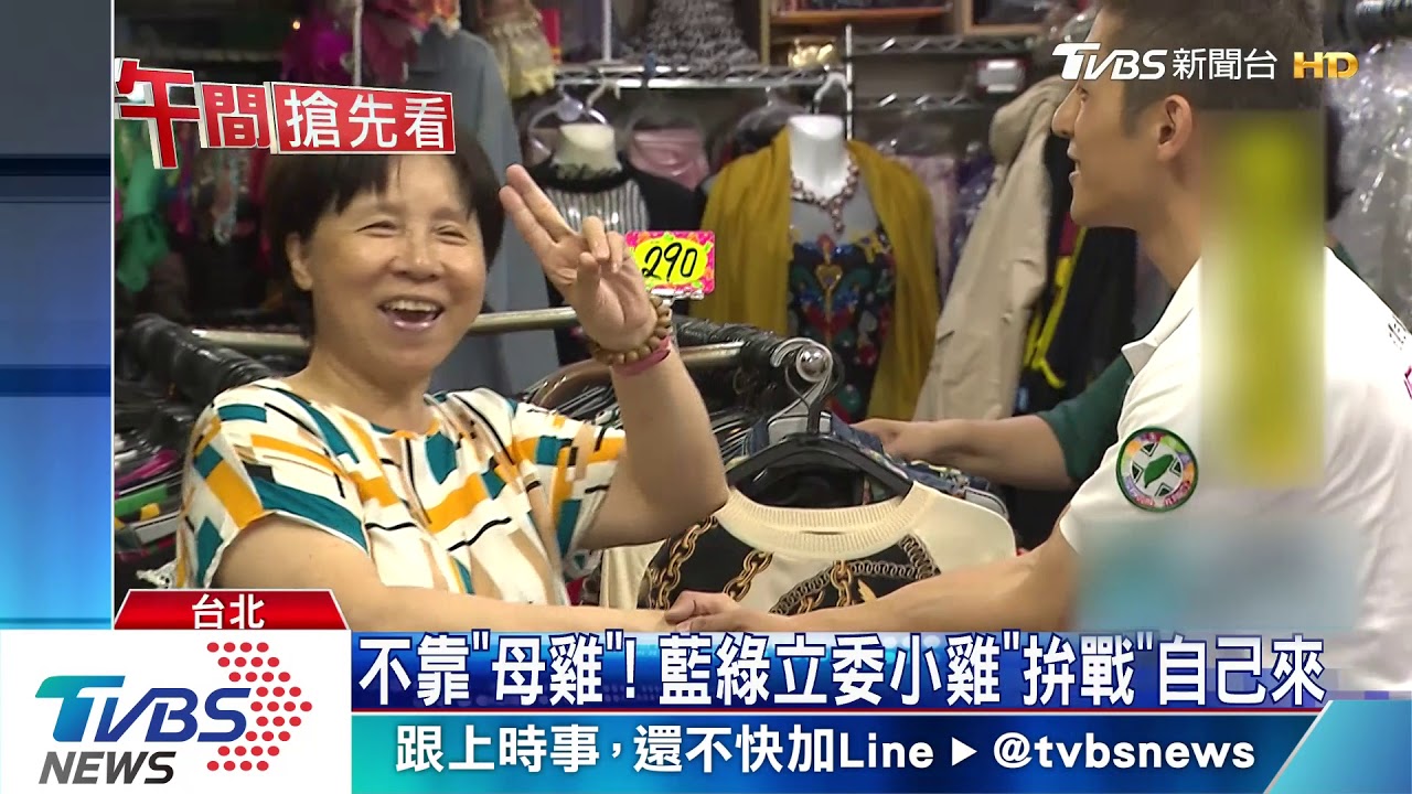 不靠「母雞」! 藍綠立委小雞「拚戰」自己來
