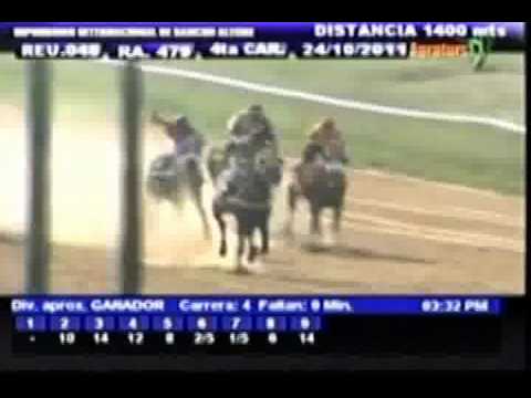 Resumen Lunes, 24 de Octubre de 2011 - Rancho Alegre