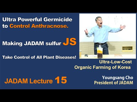JADAM Lecture Part 15. Homemade pesticide. Making JADAM sulfur JS.