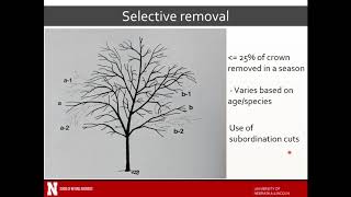 2. Pruning standards and best management practices