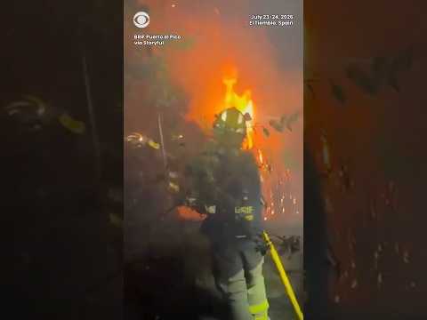 70,000 people evacuated in Spain as thick black ash coats rooftops amid wildfires #shorts