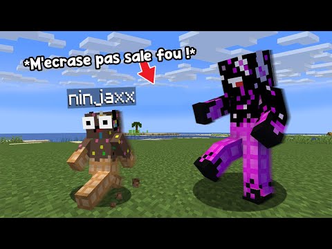 Ninjaxx - My Evil Double destroyed my Minecraft.. (and I have the seum)