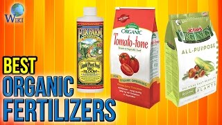 10 Best Organic Fertilizers 2017