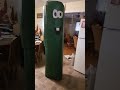My Sister Made Larry The Cucumber Costume Diy Veggietales Funny Craft Trynottolaugh