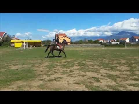 Blerta Cina  Kalerim me Borovin