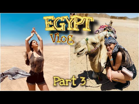EGIPT Vlog: Aventura finală (Partea 3) | Tea Vișan