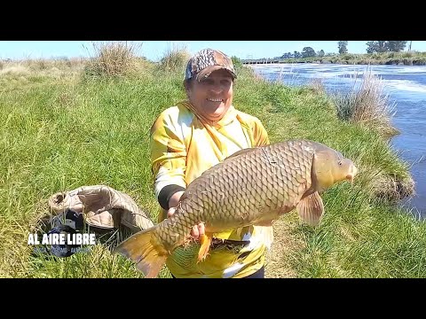 AL AIRE LIBRE PESCANDO CARPAS