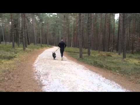 Inför Kilsbergsleden